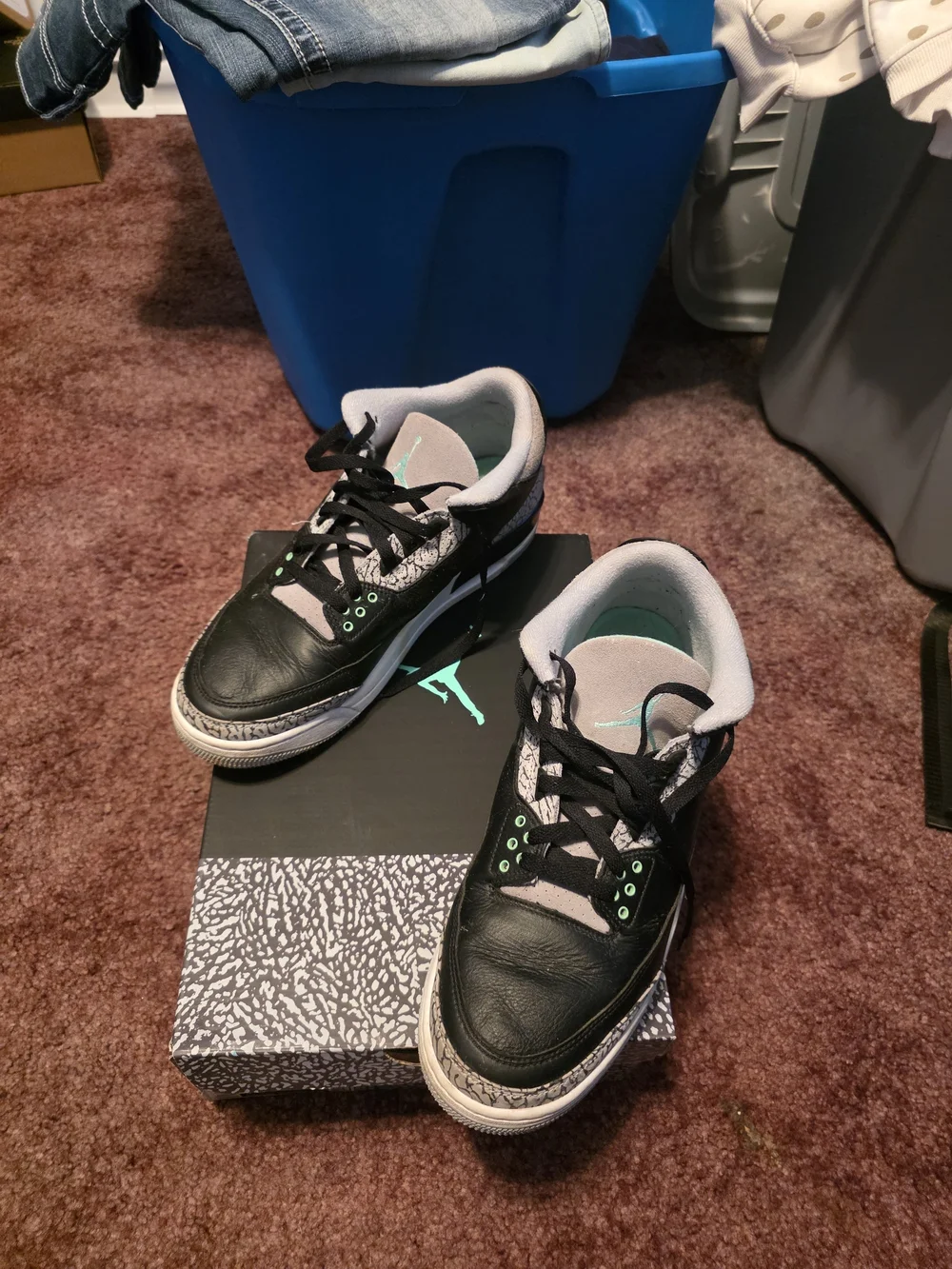 Mens Jordan 3 retro shoes
